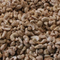 Cashew Naturel - Elbnuts Markthal