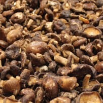 Champignon Chips - Elbnuts Markthal