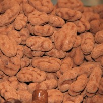 Chocolade Truffel Pecan noten - Elbnuts Markthal