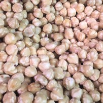 Hazelnoten geblancheerd (ontveld) - Elbnuts Markthal