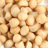 Macadamia noten naturel- Elbnuts Markthal