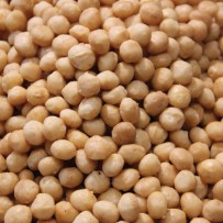 Macadamia noten gebrand - Elbnuts Markthal