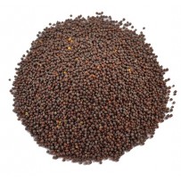 BRUINE MOSTERDZAAD 125 GRAM