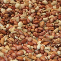 Noten mix - geroosterd en gezouten - Elbnuts