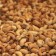 Cashew noten ongezout - Elbnuts Markthal