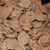 Chocoladerotsjes Appeltaart smaak- Elbnuts Markthal