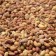 Curry noten mix - Elbnuts Markthal 