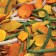 Groente chips /Groentechips - Elbnuts Markthal
