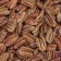 Pecannoten geroosterd en gezouten - Elbnuts 