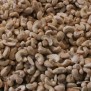 Cashew Naturel - Elbnuts Markthal 