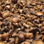 Champignon Chips - Elbnuts Markthal