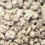 Choco Pinda Rots wit Elbnuts