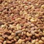 Curry noten mix - Elbnuts Markthal 