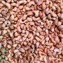 Cashew noten - Cashews Elbnuts Markthal