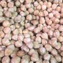Hazelnoten geblancheerd (ontveld) - Elbnuts Markthal