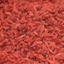 Goji bessen Elbnuts Markthal 