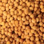 Macadamia Noten Jakarta- Elbnuts Markthal