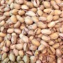 Pistache uit de oven Elbnuts Markthal