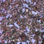 Superfood Melange - Elbnuts Markthal